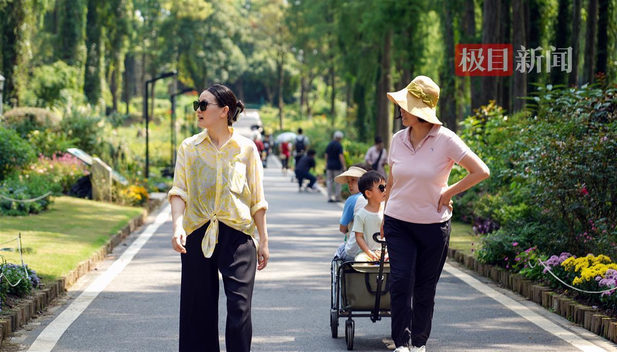 幸运双星连线下载官网